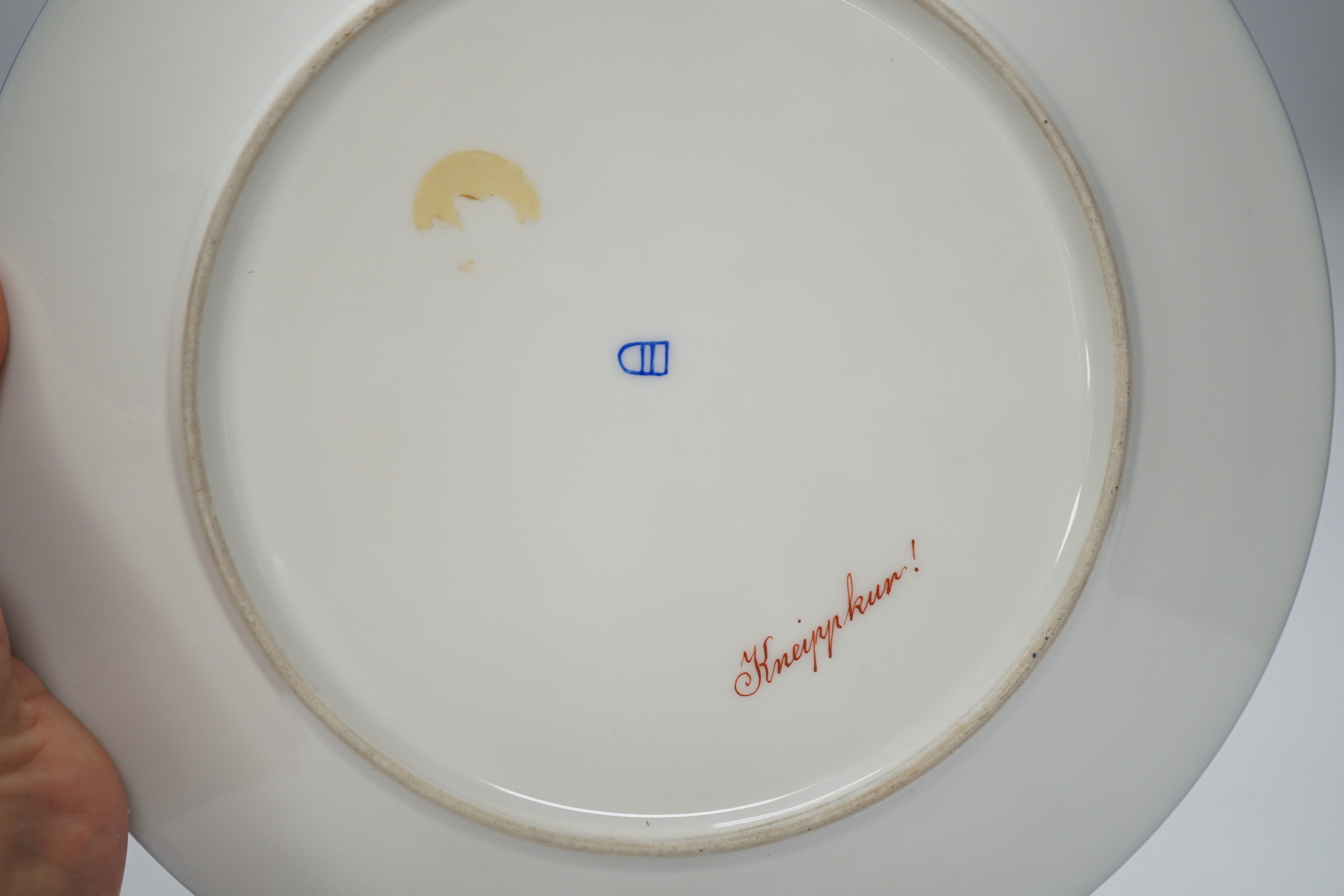 An early 20th century Vienna style cabinet plate inscribed verso, Kneippkur !, 24cm diameter